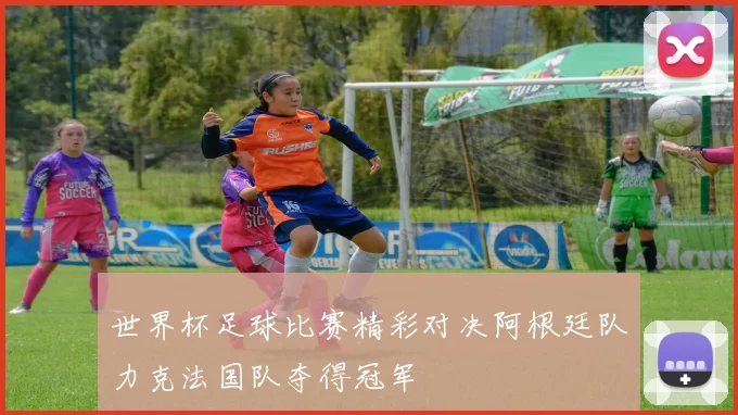 世界杯足球比赛精彩对决阿根廷队力克法国队夺得冠军