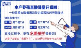 这可能是全国盈利最稳的养虾模式！30天卖虾见钱，至少40元/斤 