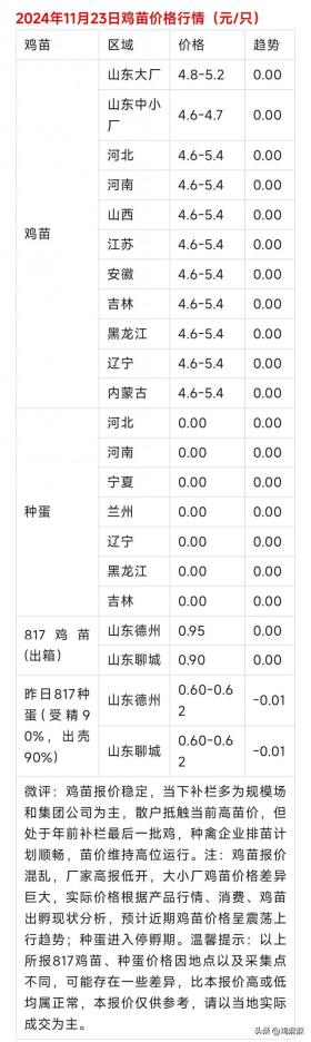 2024年12月2日 第5页